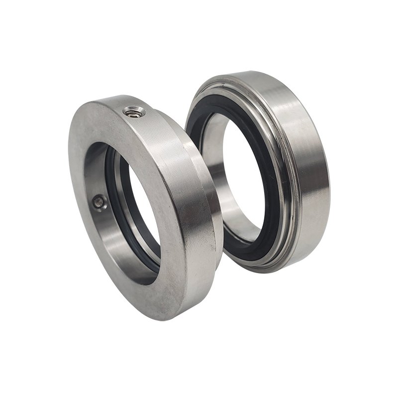 Burgmann H8/H10 Mechanical Seal Pusher Seals - Image 6