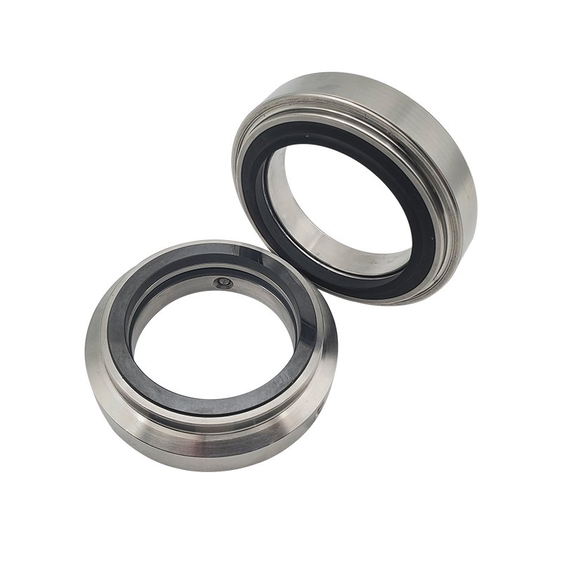 Burgmann H8/H10 Mechanical Seal Pusher Seals - Image 7