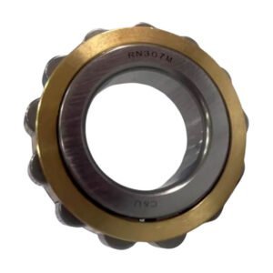 RN307 Cylindrical bearing