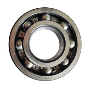 6313 deep groove ball bearing