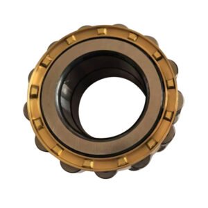 RN309 Eccentric bearing