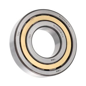 NJ309EM Bearing