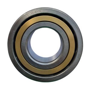 ZWZ7310 deep groove ball bearing