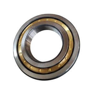407M Cylindrical Roller Bearing